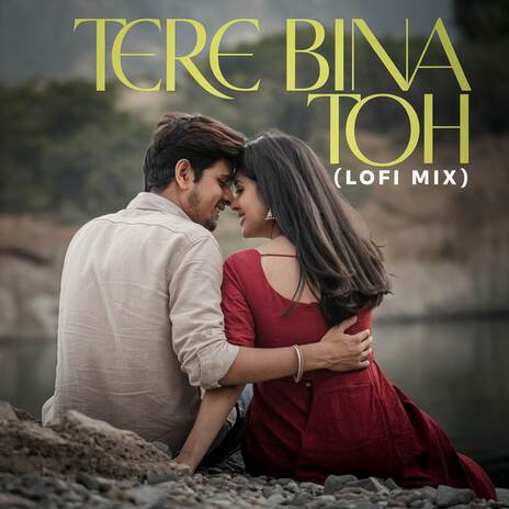 Tere Bina Toh (LoFi Mix) | Boomplay Music