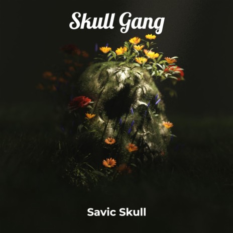 Skull Gang | Boomplay Music