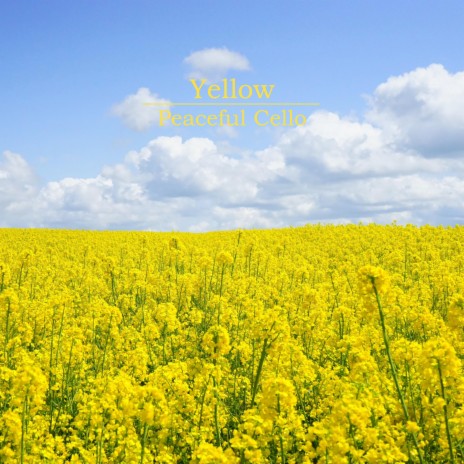 Yellow | Boomplay Music