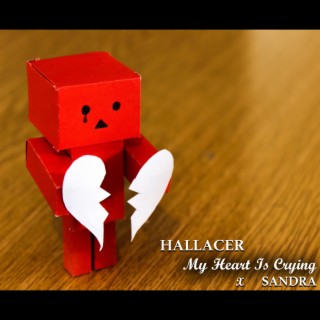 Hallacer