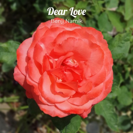 Dear Love ft. Poyoyo