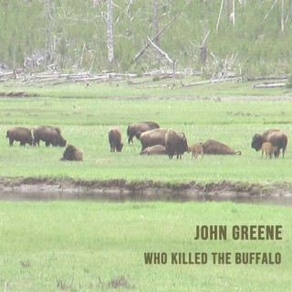 Who Killed the Buffalo