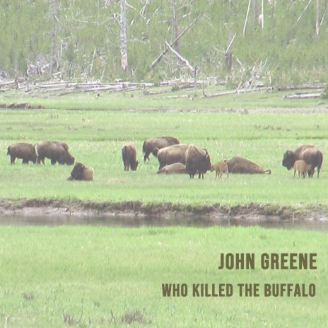 Who Killed the Buffalo | Boomplay Music