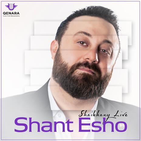 Shaikhany (Live) | Boomplay Music