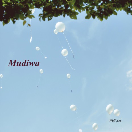 Mudiwa | Boomplay Music