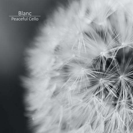 Blanc | Boomplay Music