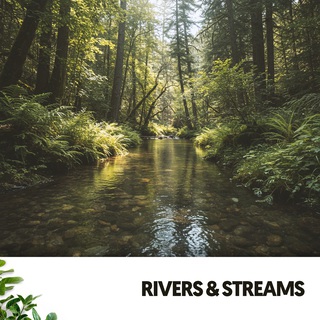 Rivers & Streams: Melodies of Flowing Waters