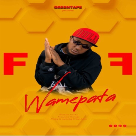 Wamepata F | Boomplay Music