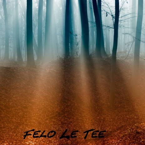 Felo Le Tee | Boomplay Music