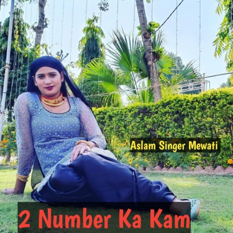 2 Number Ka Kam | Boomplay Music