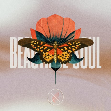 Beautiful Soul (Radio Edit)
