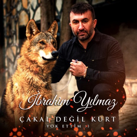 Çakal Değil Kurt | Boomplay Music