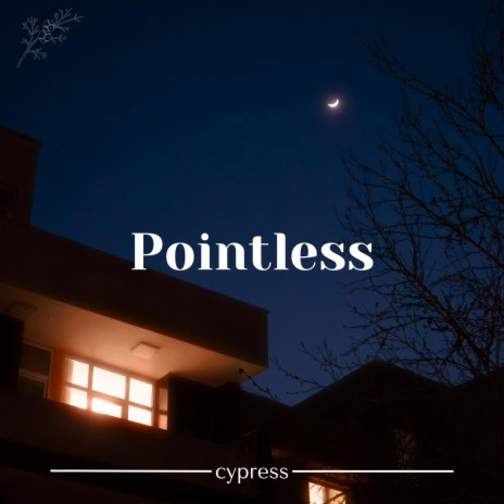 Pointless | Boomplay Music