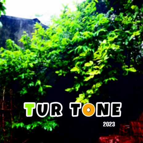 Tur Tone