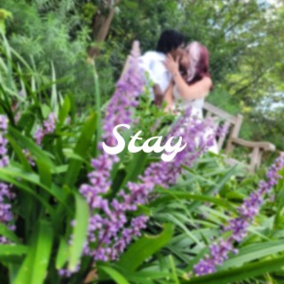 Stay