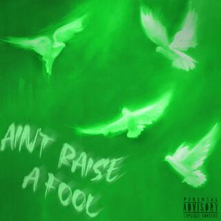 Ain't Raise A Fool