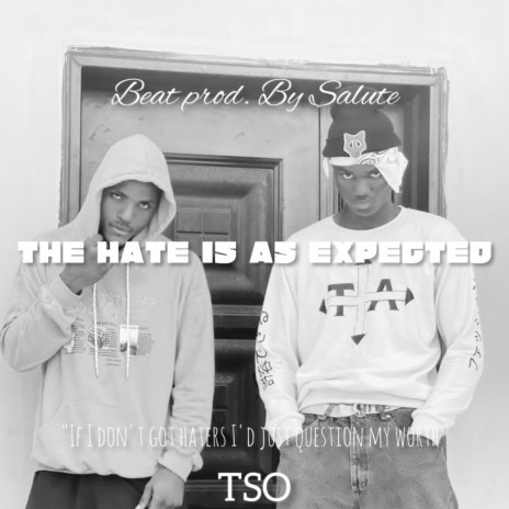 THE HATE IS AS EXPECTED ft. SALUTE | Boomplay Music