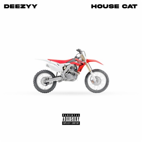 House Cat | Boomplay Music