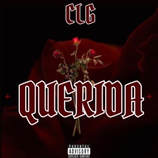 Querida lyrics | Boomplay Music