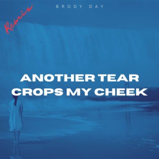 Another Tear Crops My Cheek (Remix) lyrics | Boomplay Music