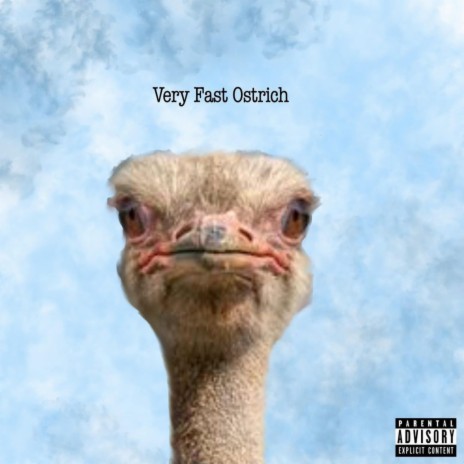 Very Fast Ostrich