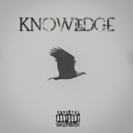 Knowledge