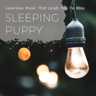 Luxurious Music That Leads You to Bliss