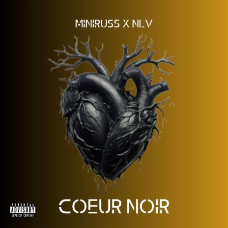 Coeur noir ft. NLV | Boomplay Music