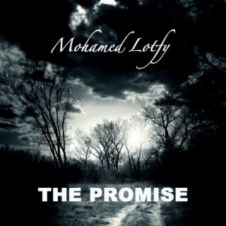 The Promise lyrics | Boomplay Music