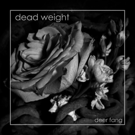 Dead Weight | Boomplay Music