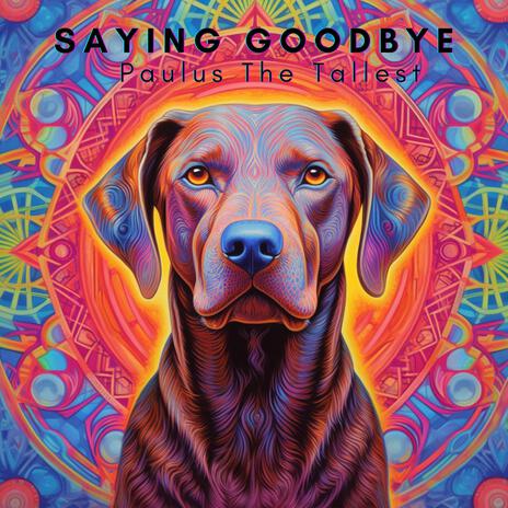 Saying Goodbye | Boomplay Music