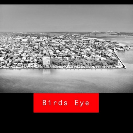 Birds Eye | Boomplay Music