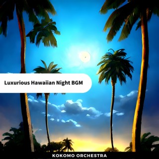 Luxurious Hawaiian Night Bgm