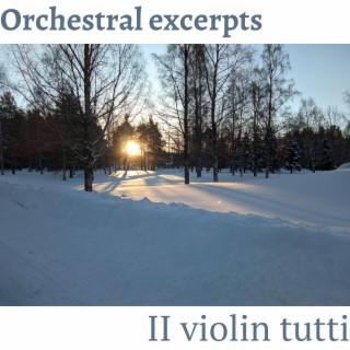 Orchestral excerpts: II violin tutti