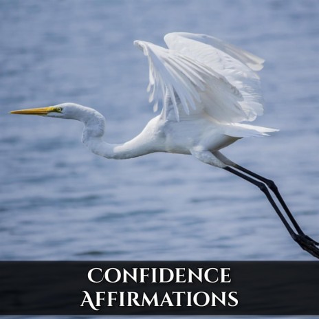 Confidence Affirmations (Use Headphones) GM | Boomplay Music