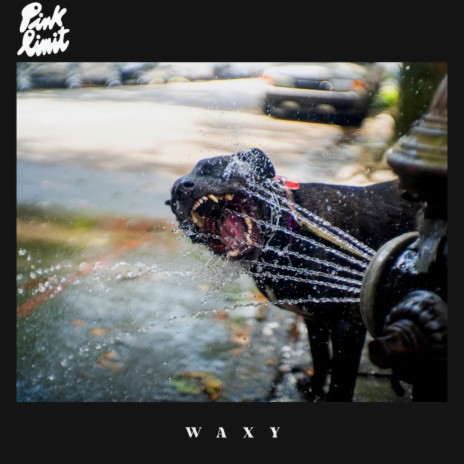 Waxy | Boomplay Music
