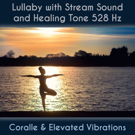 Healing Journey & 528 Hz Tone ft. Elevated Vibrations | Boomplay Music