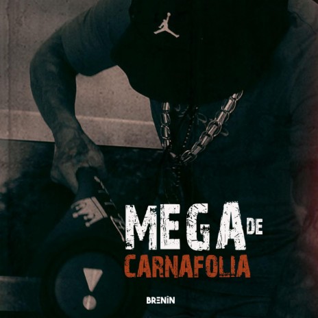 MEGA DE CARNAFOLIA | Boomplay Music