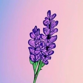 Crown Of Flowers lyrics | Boomplay Music