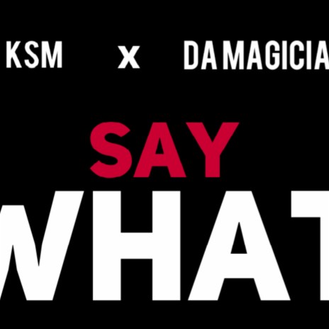 Say What | Boomplay Music