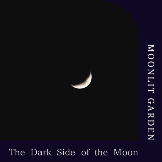 The Dark Side of the Moon