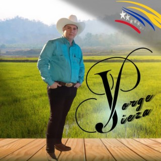 Música Venezolana