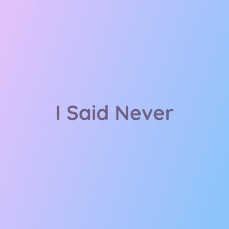 I Said Never | Boomplay Music