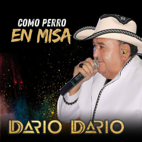 Como Perro en Misa | Boomplay Music