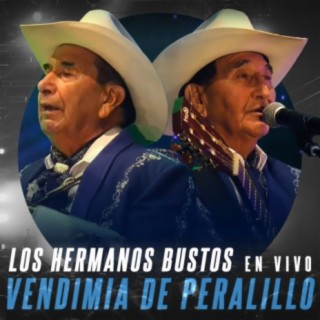 En Vivo en La Fiesta de la Vendimia de Peralillo