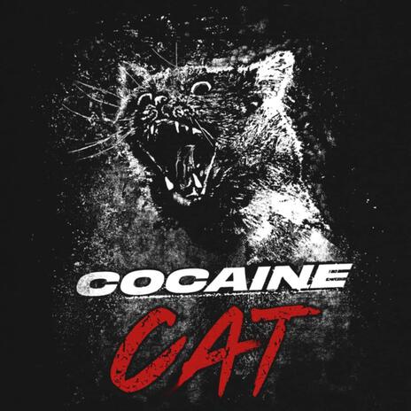 Cocaine Cat | Boomplay Music