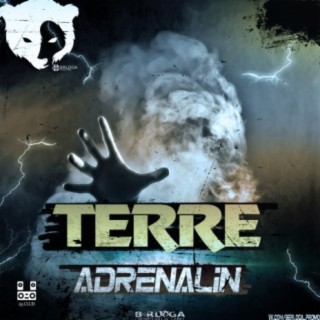 Adrenalin