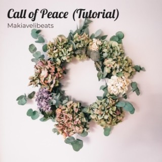 Call of Peace (Tutorial)