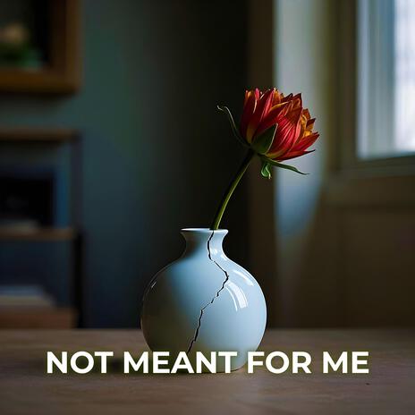 Not Meant For Me | Boomplay Music