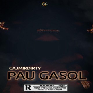 Pau Gàsol